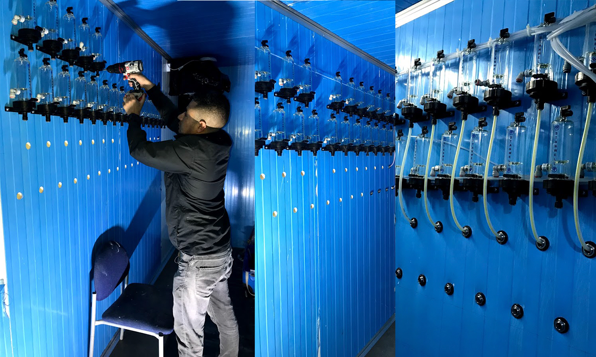 Imagen de la diapositiva